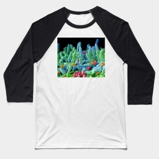 Oral bacteria, SEM (C029/3194) Baseball T-Shirt